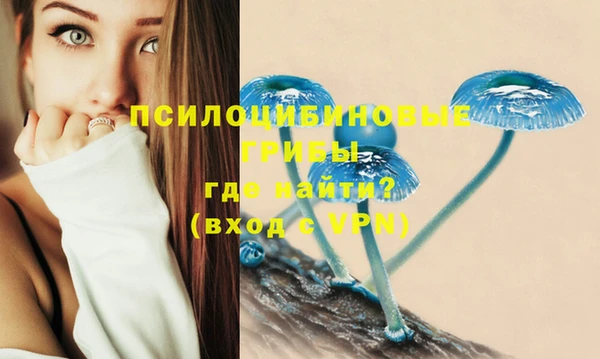 марки nbome Аркадак